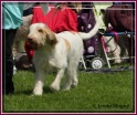 28-07-12 M GoodAsGold_IMG_8006